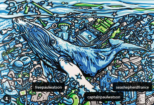 Screenshot 2024-12-20 at 10-21-47 Jakè Family Free Paul Watson #freepaulwatson #seashepherd #seashepherdfrance Instagram